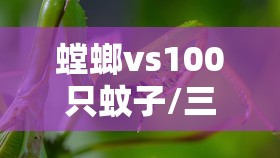 螳螂vs100只蚊子/三只螳螂vs五只蜘蛛