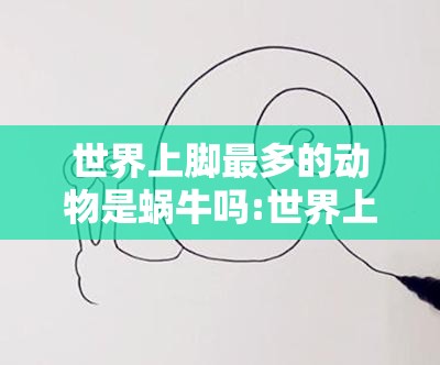 世界上脚最多的动物是蜗牛吗:世界上脚最多的动物是蜗牛吗图片