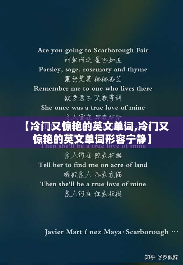 【冷门又惊艳的英文单词,冷门又惊艳的英文单词形容宁静】