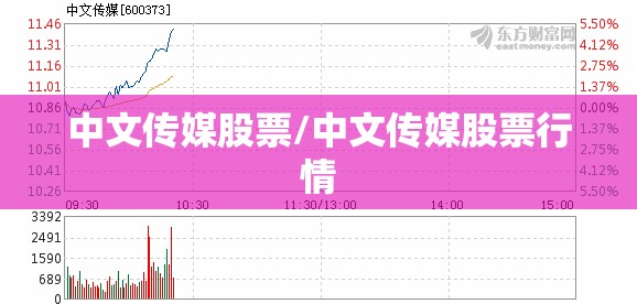中文传媒股票/中文传媒股票行情