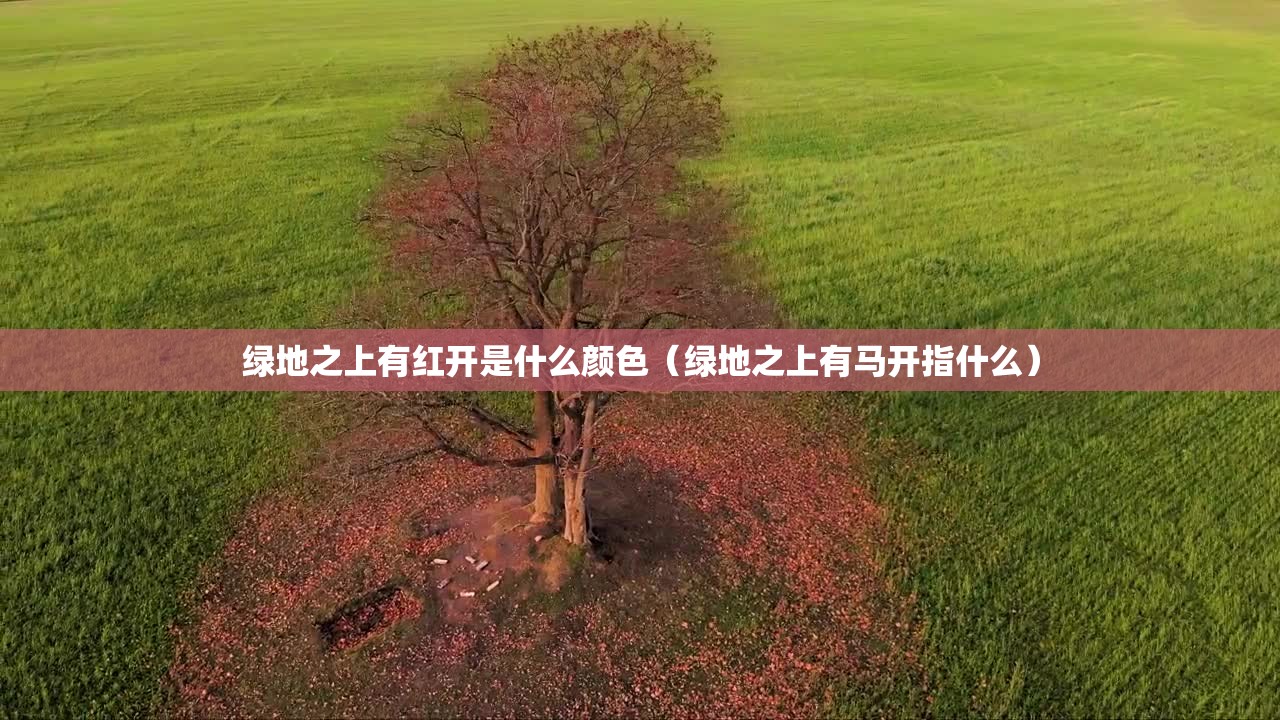 有驾驶证可以骑摩托车吗扣几分/有驾驶证可不可以开摩托车