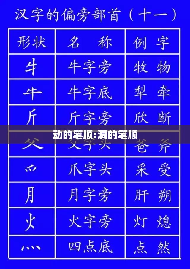 动的笔顺:洞的笔顺