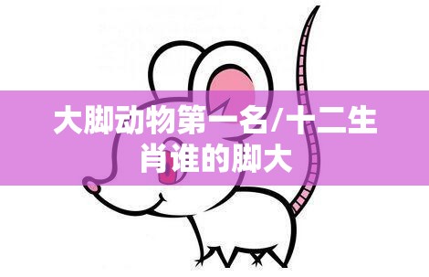 大脚动物第一名/十二生肖谁的脚大