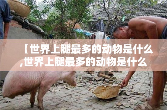 【世界上腿最多的动物是什么,世界上腿最多的动物是什么动物】