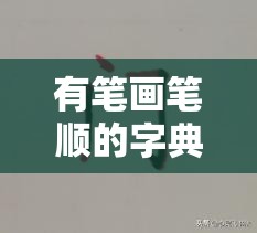 有笔画笔顺的字典/有笔顺的书法字典