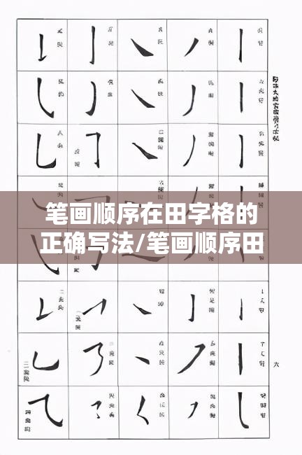 笔画顺序在田字格的正确写法/笔画顺序田字格的正确写法模板不