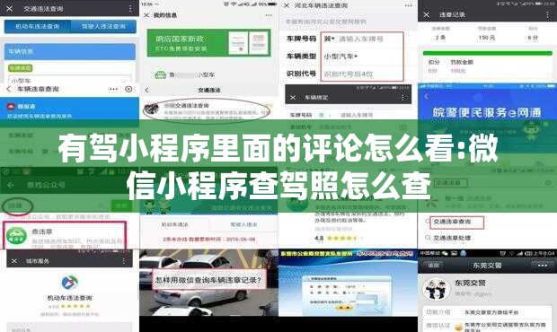 有驾小程序里面的评论怎么看:微信小程序查驾照怎么查