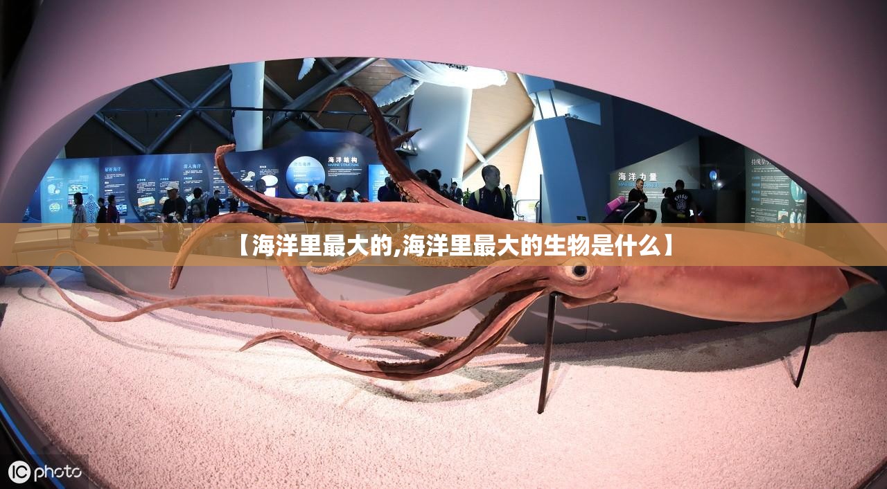 【海洋里最大的,海洋里最大的生物是什么】