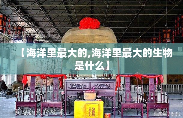 【海洋里最大的,海洋里最大的生物是什么】