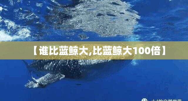【谁比蓝鲸大,比蓝鲸大100倍】