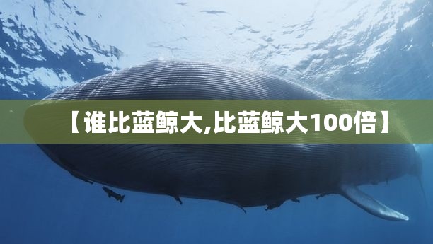 【谁比蓝鲸大,比蓝鲸大100倍】