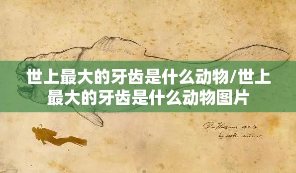 世上最大的牙齿是什么动物/世上最大的牙齿是什么动物图片