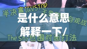 是什么意思解释一下/Top是什么意思解释一下