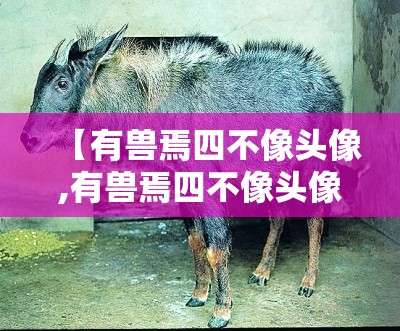 【有兽焉四不像头像,有兽焉四不像头像帅气】