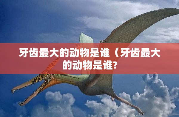 牙齿最大的动物是谁（牙齿最大的动物是谁?