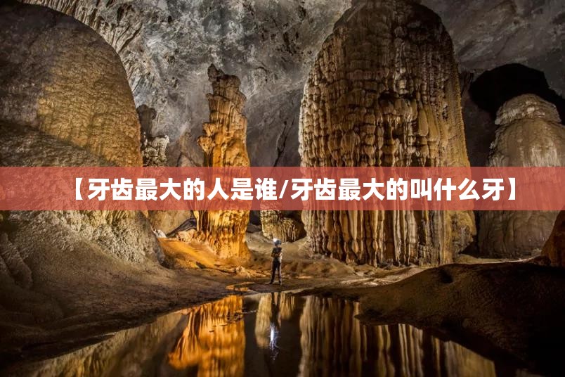 【牙齿最大的人是谁/牙齿最大的叫什么牙】