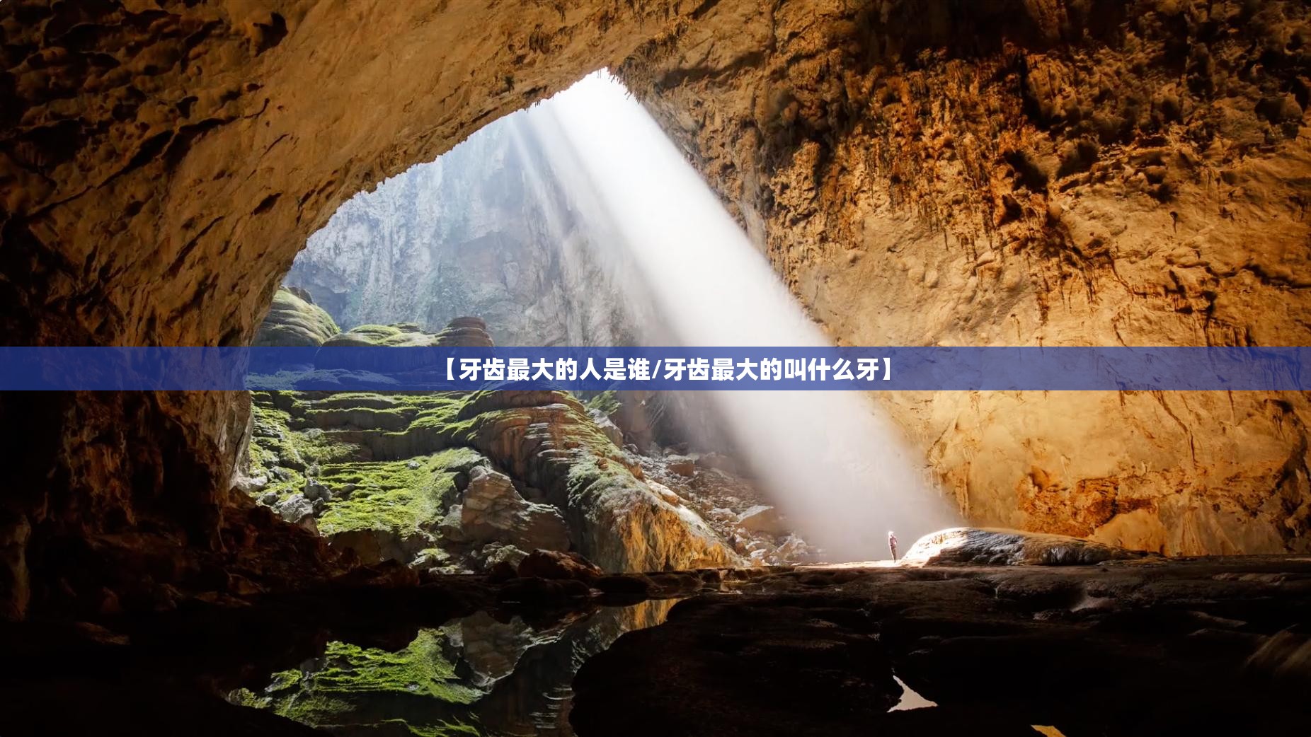 【牙齿最大的人是谁/牙齿最大的叫什么牙】