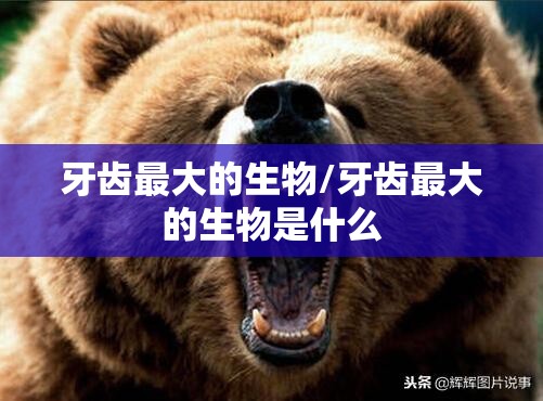 牙齿最大的生物/牙齿最大的生物是什么