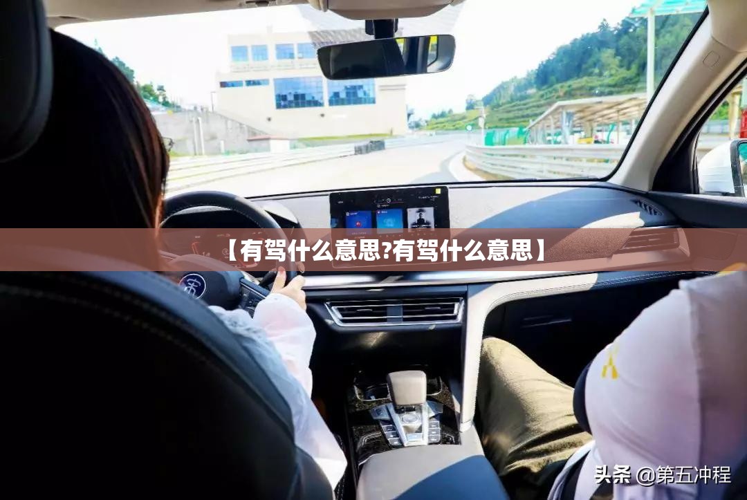 【有驾什么意思?有驾什么意思】