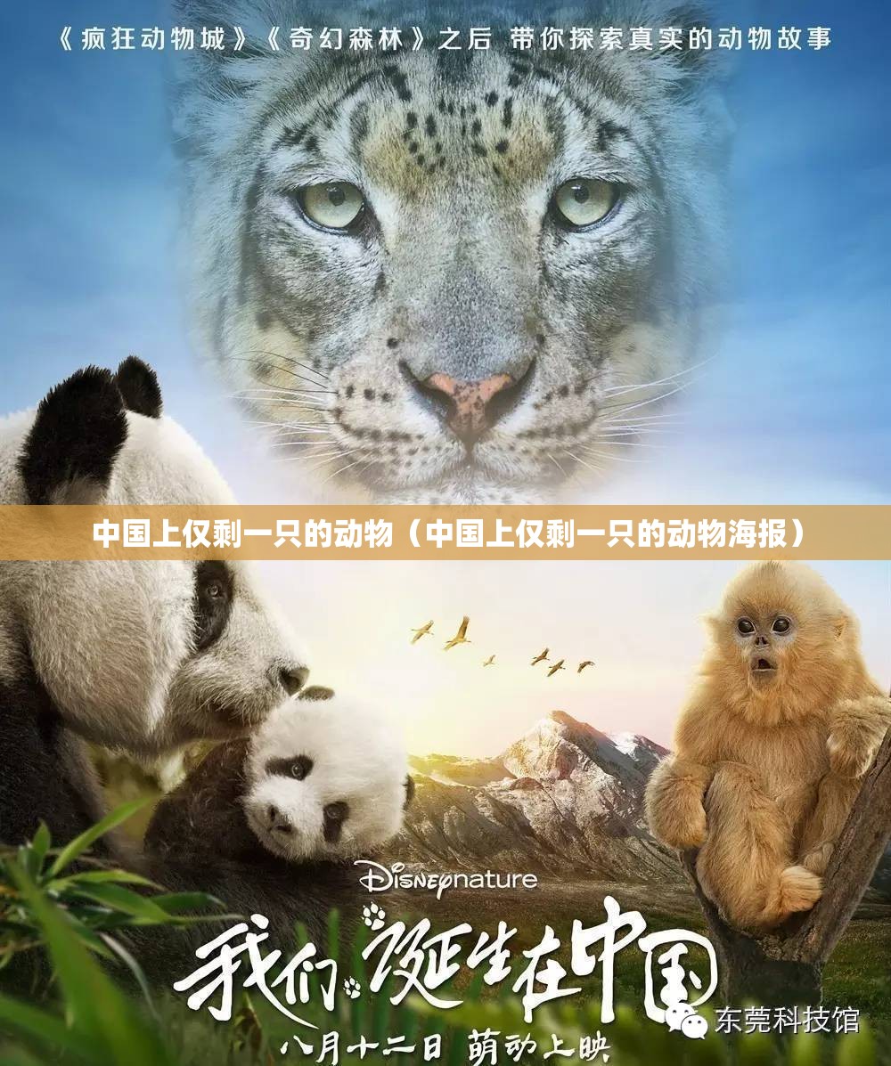 中国上仅剩一只的动物（中国上仅剩一只的动物海报）