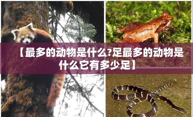 【最多的动物是什么?足最多的动物是什么它有多少足】