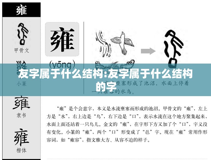 友字属于什么结构:友字属于什么结构的字