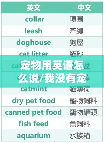 宠物用英语怎么说/我没有宠物用英语怎么说