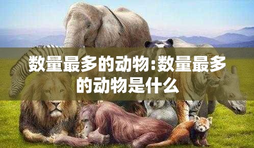 数量最多的动物:数量最多的动物是什么