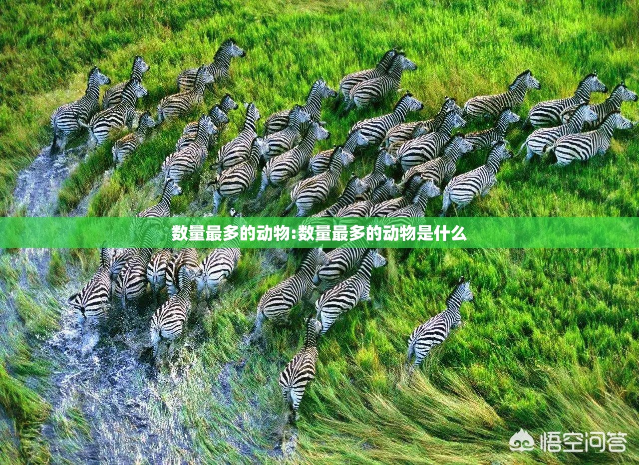 数量最多的动物:数量最多的动物是什么