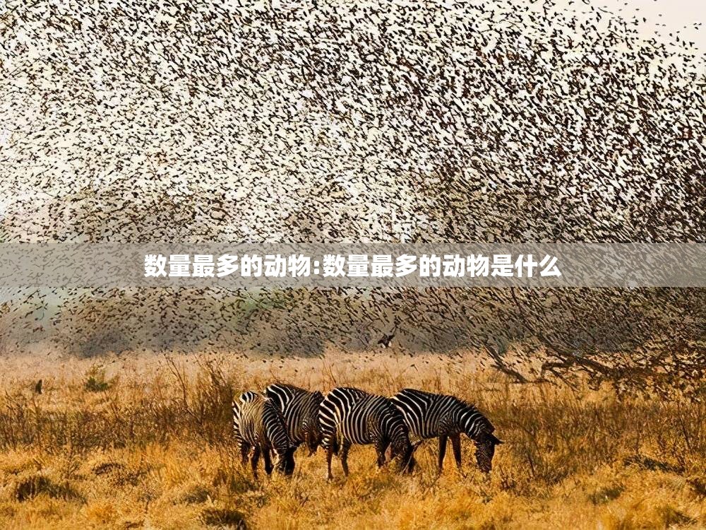 数量最多的动物:数量最多的动物是什么