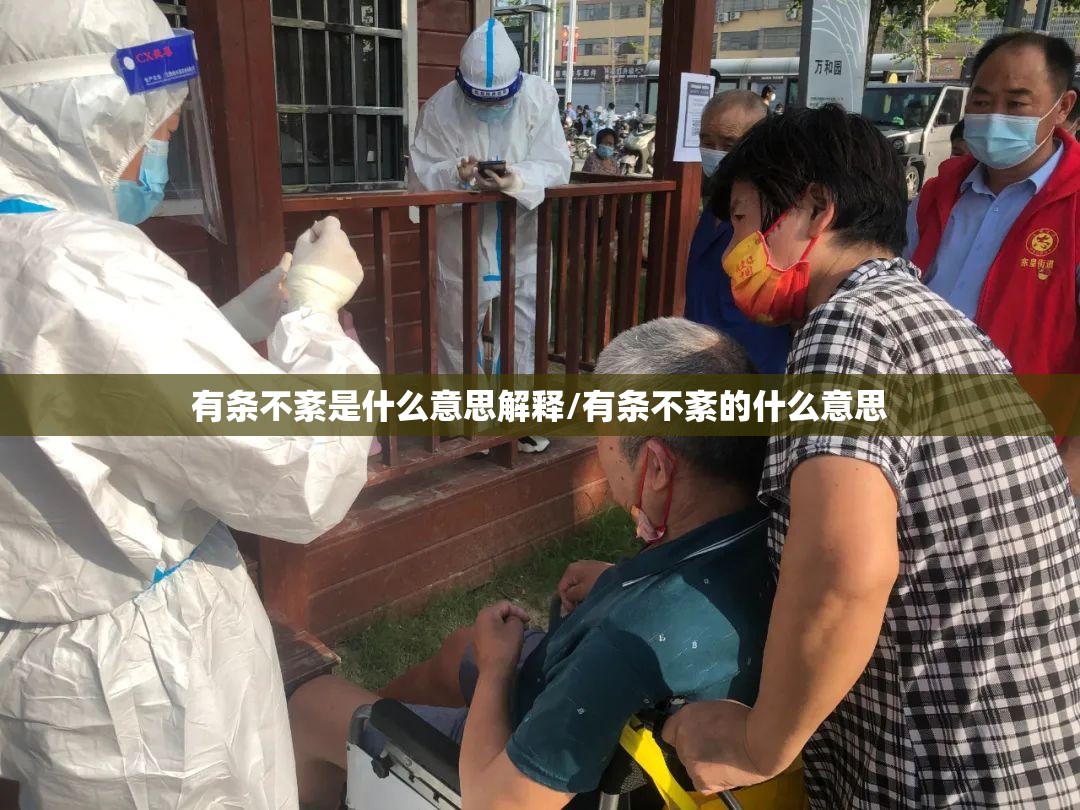有条不紊是什么意思解释/有条不紊的什么意思