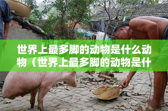 世界上最多脚的动物是什么动物（世界上最多脚的动物是什么动物图片）