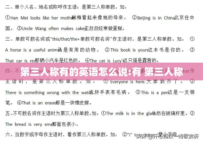 第三人称有的英语怎么说:有 第三人称