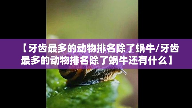 【牙齿最多的动物排名除了蜗牛/牙齿最多的动物排名除了蜗牛还有什么】