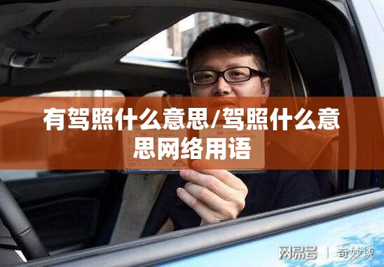 有驾照什么意思/驾照什么意思网络用语