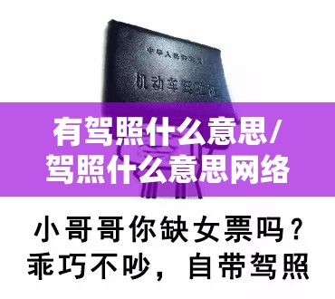 有驾照什么意思/驾照什么意思网络用语