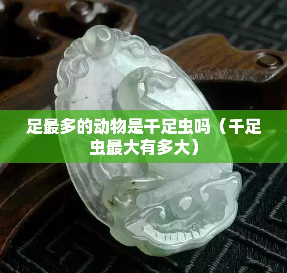 足最多的动物是千足虫吗（千足虫最大有多大）
