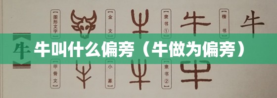 牛叫什么偏旁（牛做为偏旁）