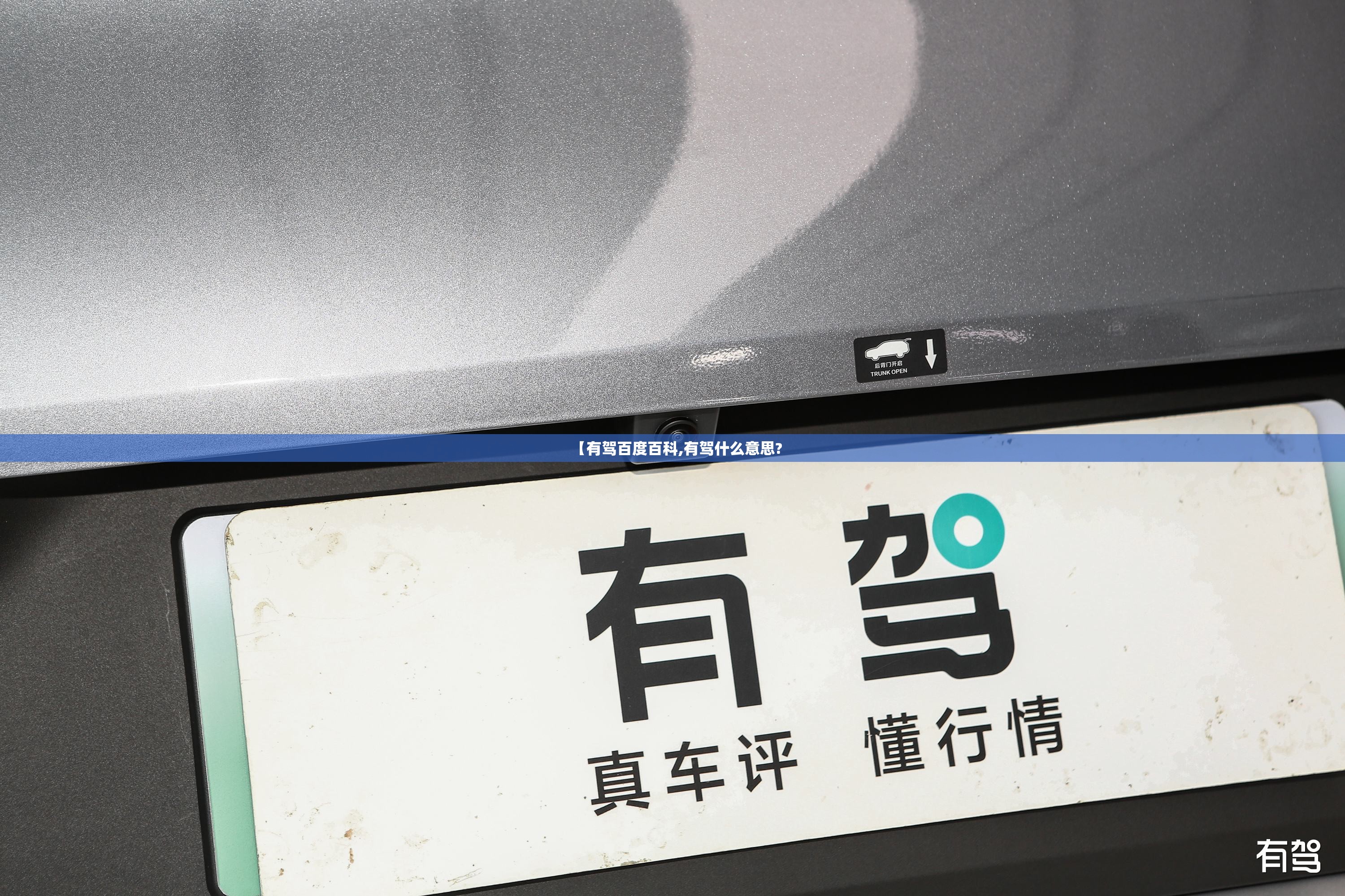 【有驾百度百科,有驾什么意思?
