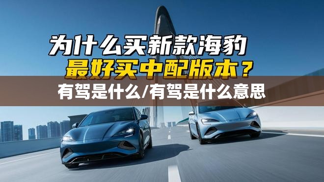 有驾是什么/有驾是什么意思