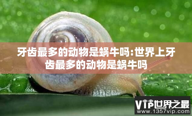 牙齿最多的动物是蜗牛吗:世界上牙齿最多的动物是蜗牛吗