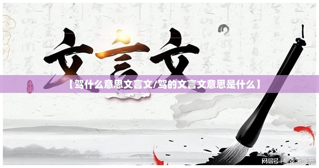 【驾什么意思文言文/驾的文言文意思是什么】