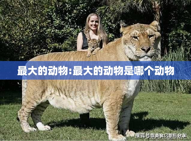最大的动物:最大的动物是哪个动物