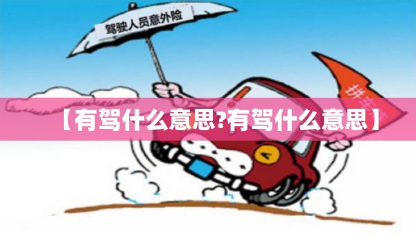 【有驾什么意思?有驾什么意思】