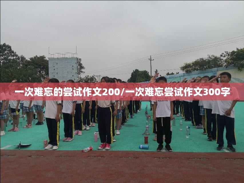 一次难忘的尝试作文200/一次难忘尝试作文300字