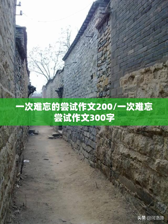 一次难忘的尝试作文200/一次难忘尝试作文300字