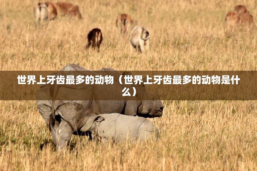世界上牙齿最多的动物（世界上牙齿最多的动物是什么）
