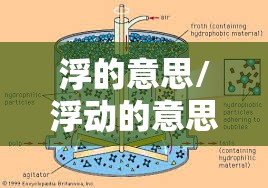 浮的意思/浮动的意思