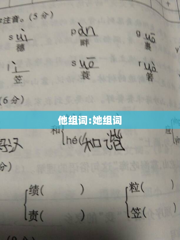 他组词:她组词