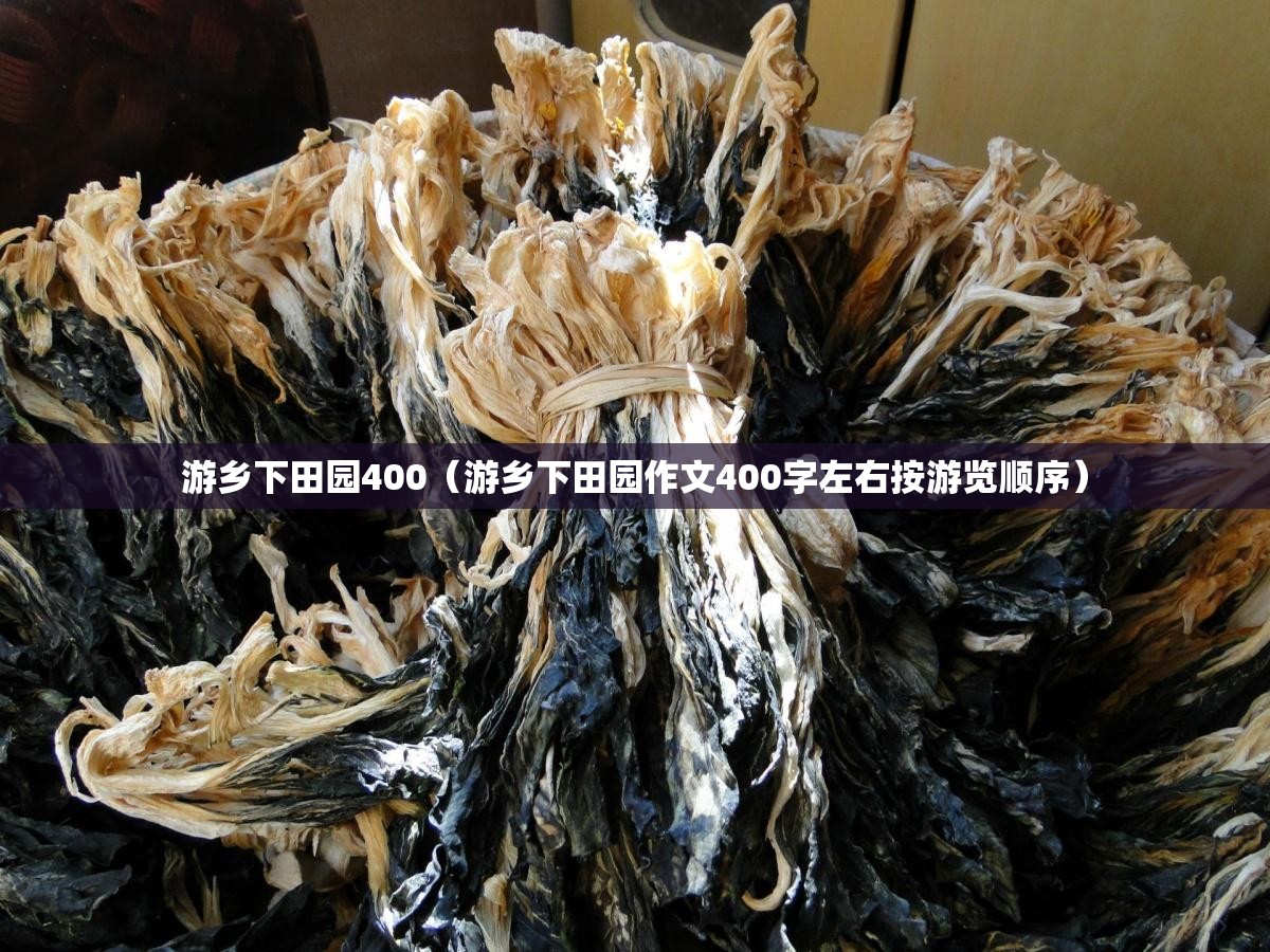 游乡下田园400（游乡下田园作文400字左右按游览顺序）